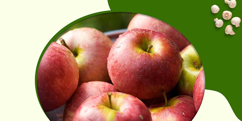 Apples Contribute to Healthy Weight Loss